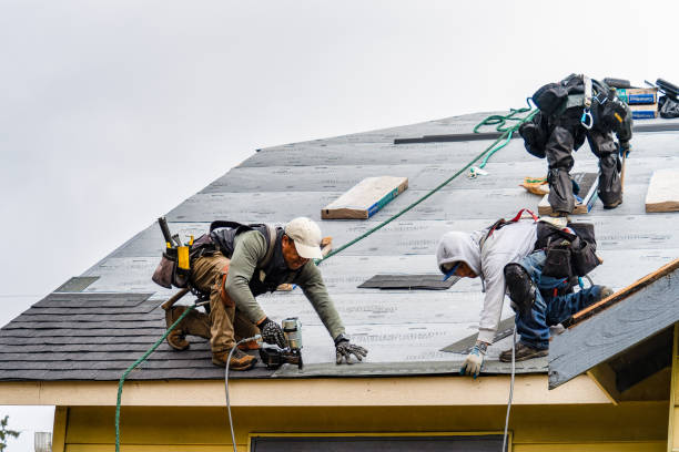 Professional Gutter Installation technician working in Davilla, TX